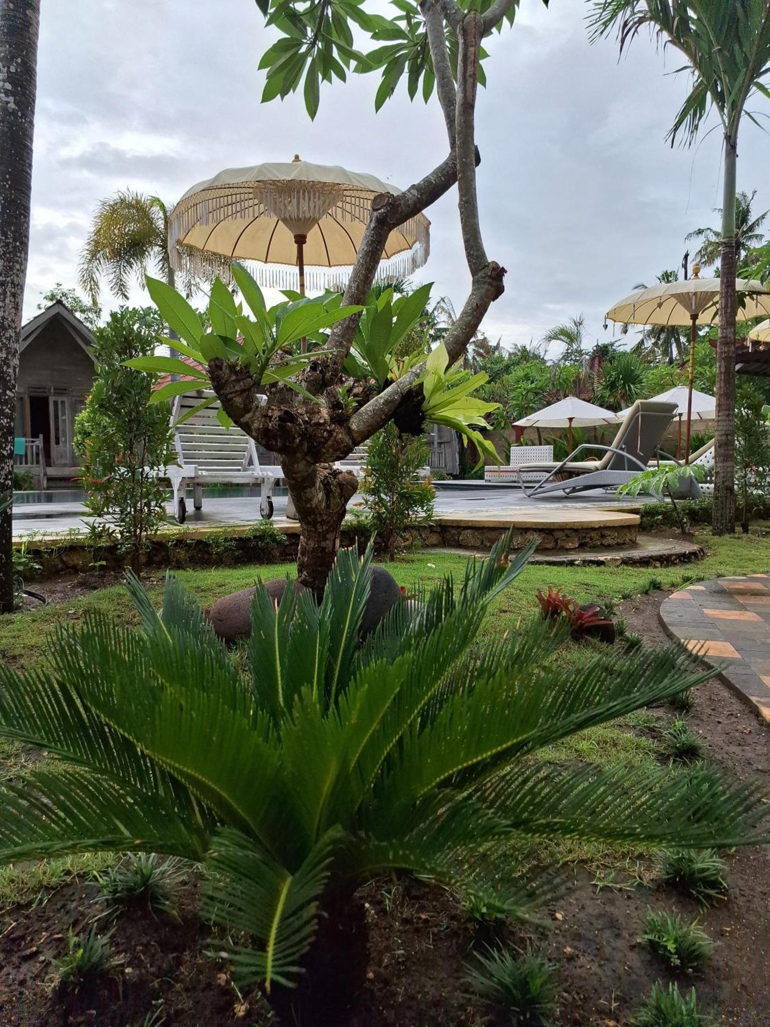 Grand Daghan Cottage Batununggul Exterior photo